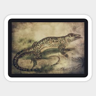 Monitor Amphibian Drawing Vintage Antique Art Sticker